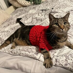 Meet your Posher, Lexie